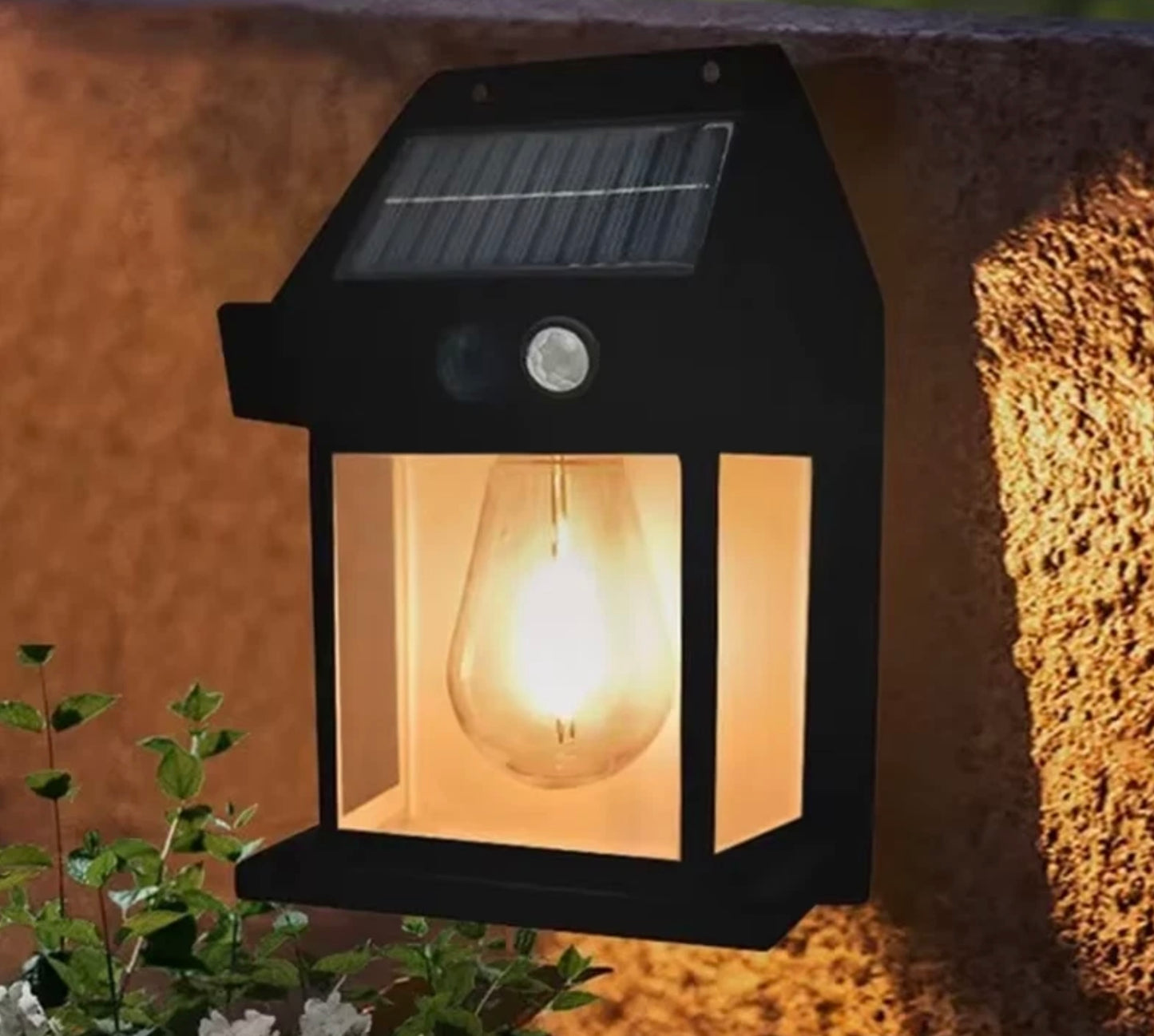 SOLAR POWERED INDUCTION LAMP