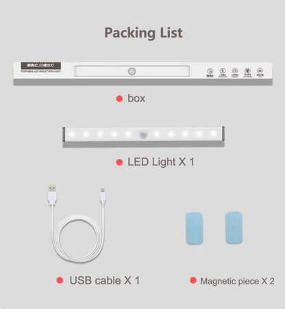 Rechargeable motion sensor light