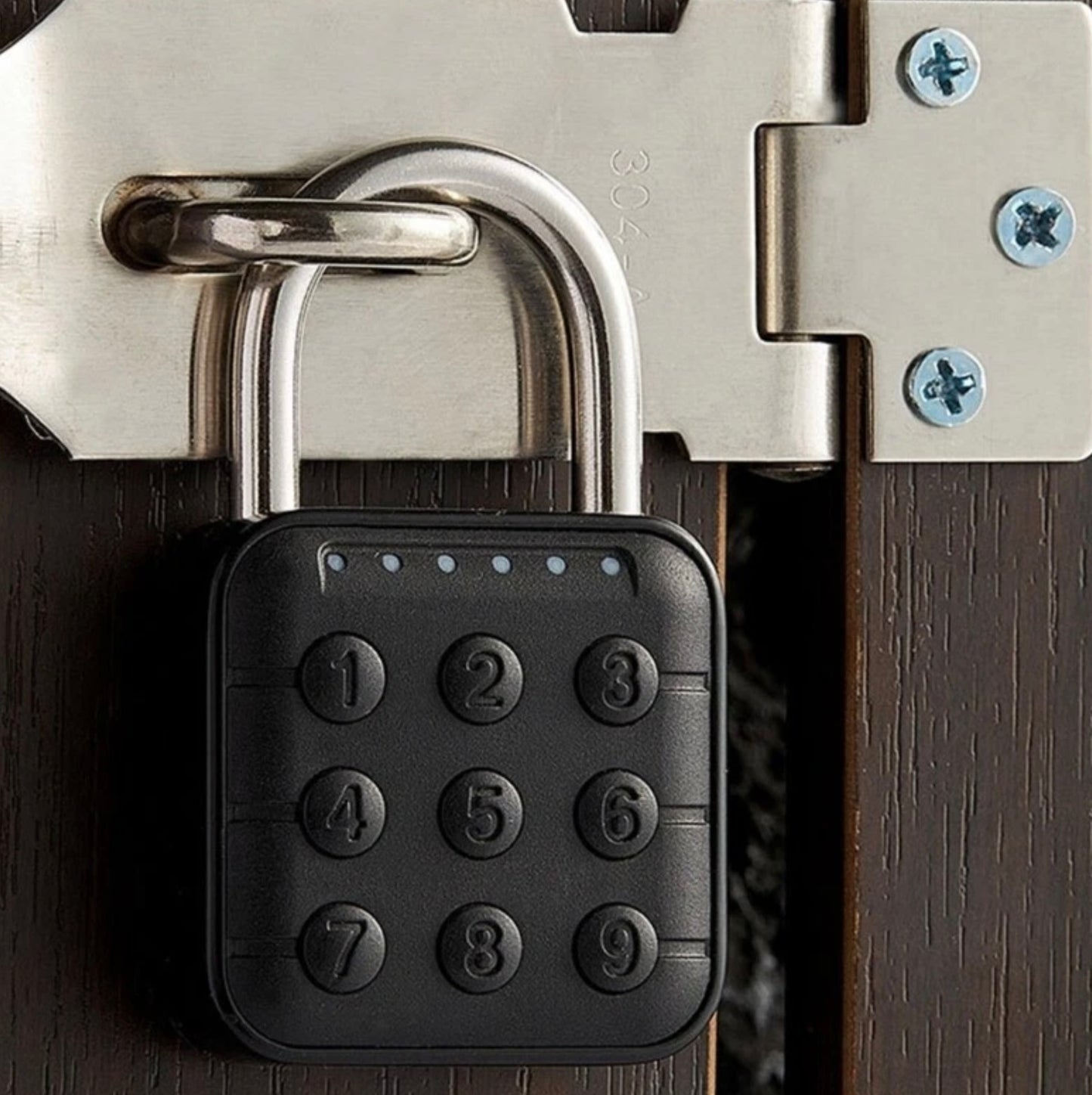SMART PASSWORD PADLOCK