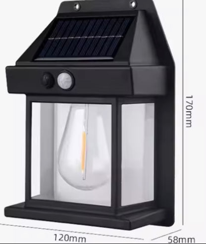 SOLAR POWERED INDUCTION LAMP